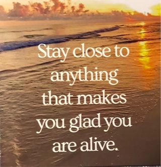 Stay Close quote - 3 x 3” MAGNET - GIN ONLY