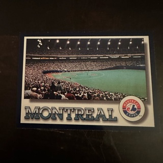 Montreal expos 