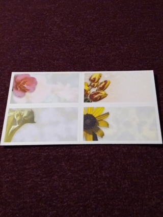 Floral Mini Cards