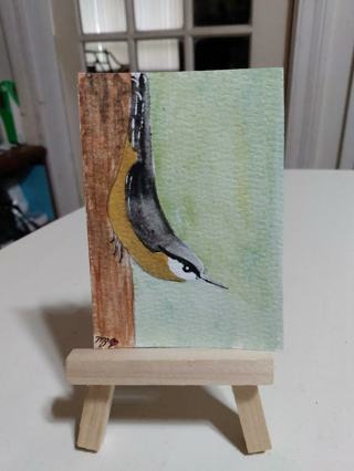 ACEO Original, Watercolor Painting 2-1/2"X 3/1/2" Nuthatch Bird by Artist Marykay Bond