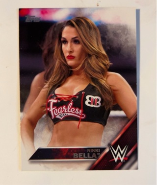 WWE “Nikki Bella"