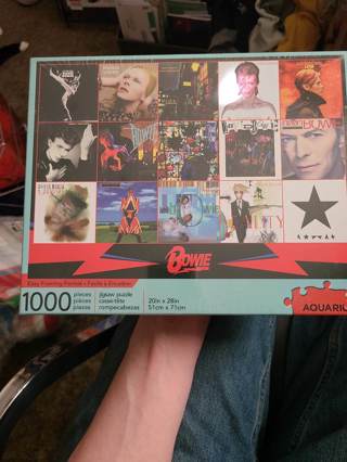 David Bowie 1000 piece Puzzle BRAND NEW!! 