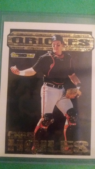 chris hoiles baseball card free shipping