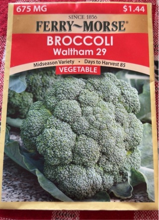 Ferry Morse Broccoli Seeds
