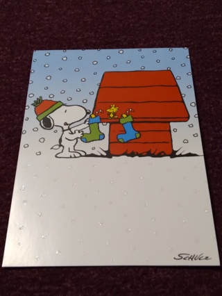 PEANUTS Christmas Card - Everything