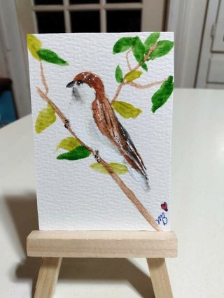 ACEO Original, Watercolor Painting 2-1/2"X 3/1/2" Sparrow by Artist Marykay Bond