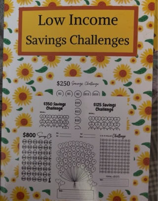 Budget savings challenges for low income 