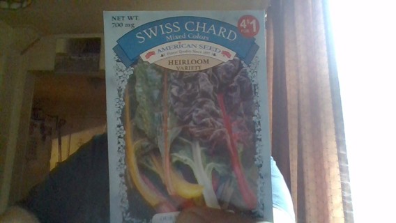 swiss chard seeds