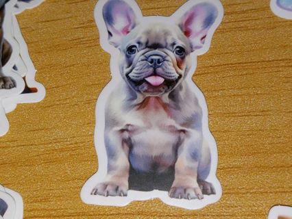 Dog Cute one nice vinyl sticker no refunds regular mail only Very nice quality!!