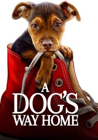 A DOG’S WAY HOME HD MOVIES ANYWHERE CODE ONLY 