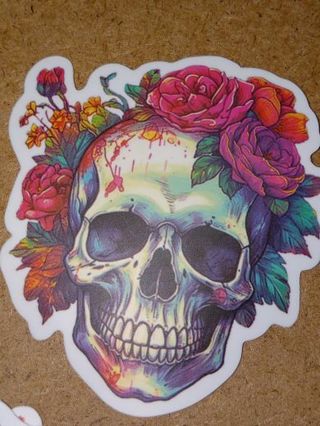 Cool new one vinyl sticker no refunds regular mail Very nice quality