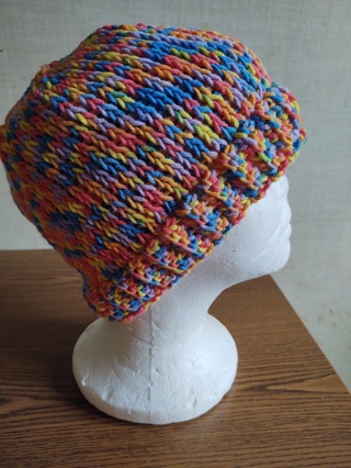 Hand Crocheted Tunisian Stitch Multicolor Hat