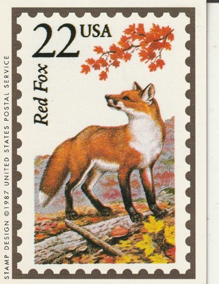 Vintage Wildlife America Collector/Trade Card: Red Fox