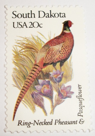 Scott #1993, South Dakota, Ring-Necked Pheasant, Useable 20¢ US Postage Stamp