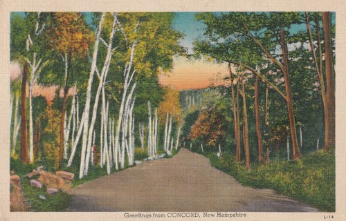 Vintage Used Postcard: e: 1944 Greetings from Concord, NH