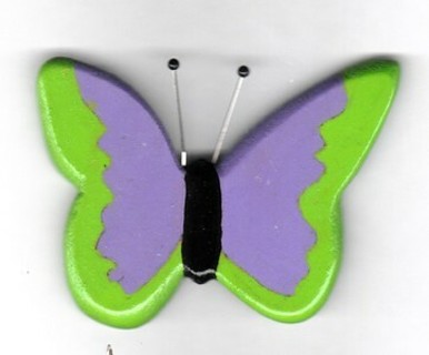 LITTLE BUTTERFLY MAGNET #7 (PLEASE READ DESCRIPTION