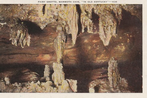 Vintage Unused Postcard: (gin8): Mammoth Cave, KY