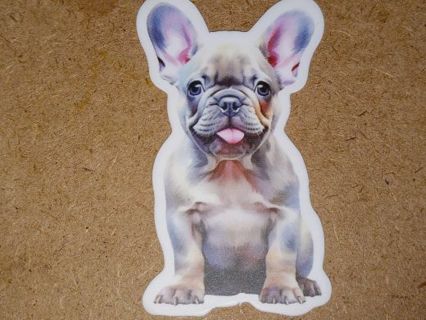 Dog Cute one vinyl sticker no refunds regular mail only Very nice these are all nice