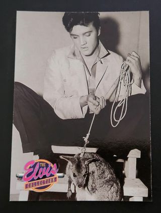 1992 The River Group Elvis Presley "The Elvis Collection" Card #549