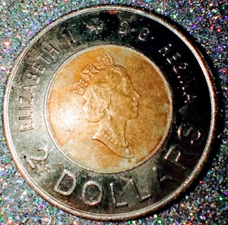 COIN TWO DOLLAR CANADIAN TOONEY YEAR 2000 A NICE COLLECTIBLE TAKE A LOOK