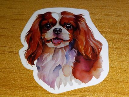 Dog Cute new nice vinyl sticker no refunds regular mail win 2 or more get bonus