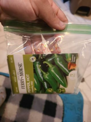 Pack of 16 seeds