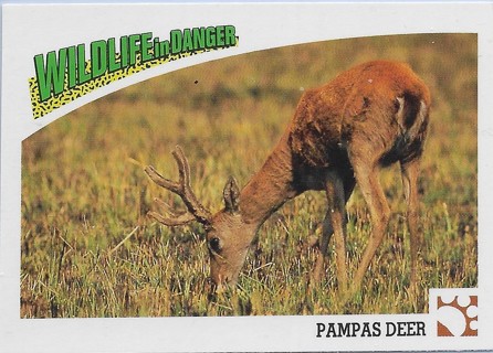 1992 Panini Wildlife in Danger #11 Pampas Deer