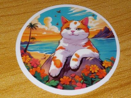 Cat New one Cute vinyl sticker no refunds regular mail only Very nice quality!