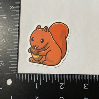 Baby squirrel Kawaii large sticker decal NEW