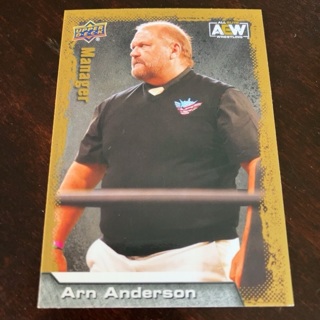 2022 Upper Deck AEW All Elite Wrestling - [Base] - Gold #95 Crew - Arn Anderson