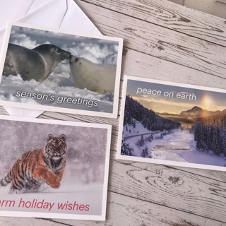 3 Christmas Note Cards with Envelopes, Free Mail