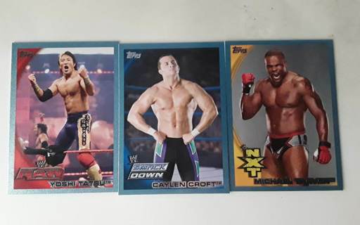 3 card Topps WWE Blue inserts /2010