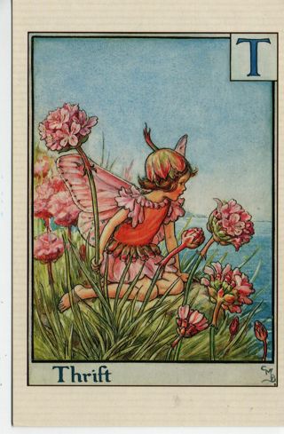 used Postcard retro  The Thrift Fairy, from A Flower Fairy Alphabet, 1934 - barely used not sent out