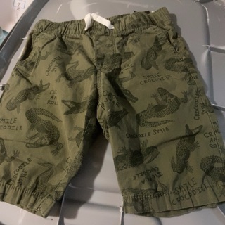 Boys dinosaur shorts 