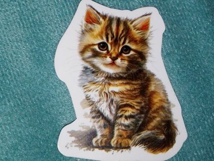 Cat Cute one new vinyl sticker no refunds regular mail only Very nice these are all adorable