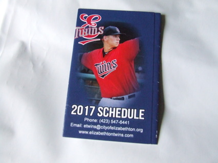 2017 Elizabethton Twins Minor Baseball Schedule 