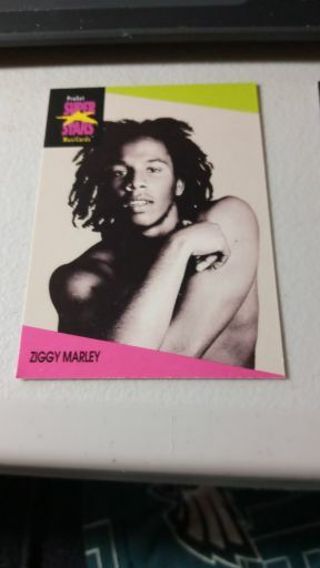 Ziggy Marley