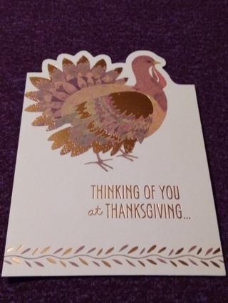 Thanksgiving Card - Thinking Of You