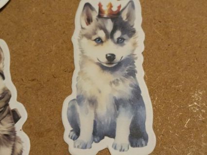 Dog Cute new 1⃣ vinyl lap top sticker no refunds regular mail very nice quality