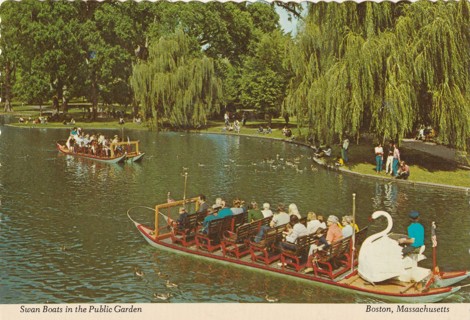 Vintage Unused Postcard: (g1): Boston, MA, Swan Boats, Public Garden