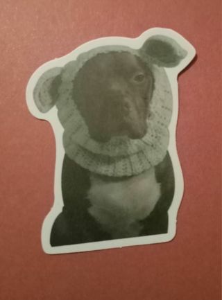 Puppy dog face sticker