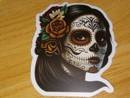 Cool one nice big vinyl sticker no refunds regular mail only Very nice quality!