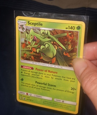Sceptile holo pokemon  card 
