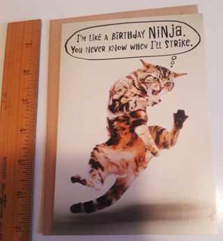 Funny Cat Belated Birthday Card (with Envelope)