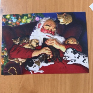 Santa & Friends Christmas Card 