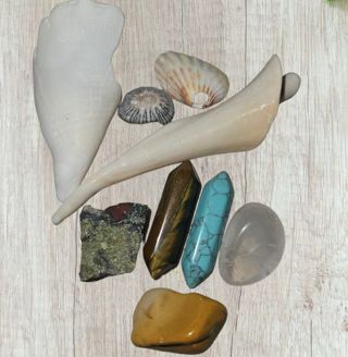 Growing Crystals, Shells, and Stones Auction!