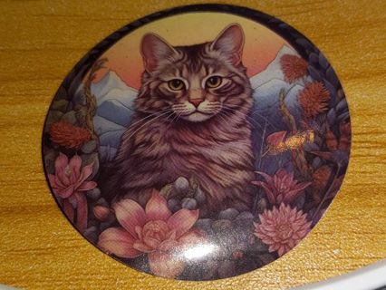 Cat Cute one new vinyl lap top stickers no refunds regular mail very nice