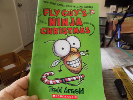 Fly Guys Ninja Christmas by Todd Arnold a Scholastic book Chapter book