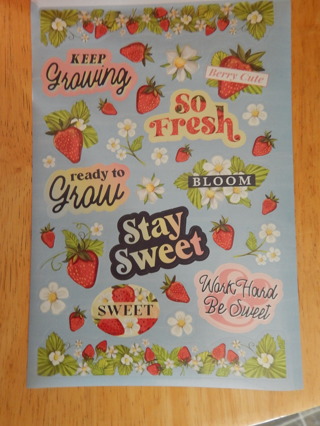 Colorful & Fun Assorted STRAWBERRY DAYS  stickers