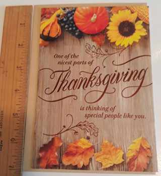 Thanksgiving Card "Special People Like You" (w/Envelope)